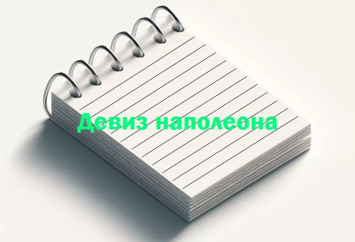 Государство – это я: философия и политика в девизе наполеона