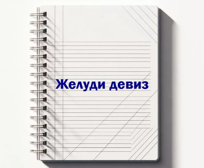 Желуди девиз: сила, упорство и юмор в каждой оболочке